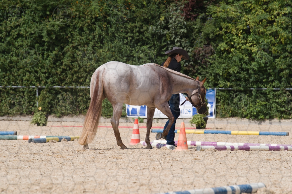 s_batch_A9_00135.jpg